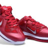 LeBron James 9 (IX) Red