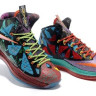 LeBron James X (10) MVP
