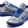 Nike Hyperfuse 2010 Low (silver/blue)