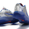 Nike Hyperfuse 2010 Low (silver/blue)