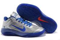 Nike Hyperfuse 2010 Low (silver/blue)