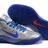 Nike Hyperfuse 2010 Low (silver/blue)
