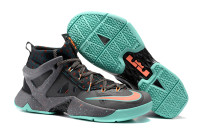 LeBron Ambassador 8 South Beach