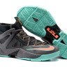 LeBron Ambassador 8 South Beach
