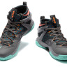 LeBron Ambassador 8 South Beach