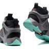 LeBron Ambassador 8 South Beach
