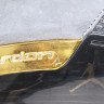 Air Jordan 17 Trophy Room AJ17