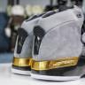 Air Jordan 17 Trophy Room AJ17