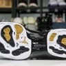 Air Jordan 17 Trophy Room AJ17
