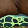 Air Jordan 13 Oregon Ducks AR4390-313