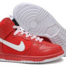 Nike Dunk High (red)