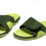 Тапочки LeBron James 8 green/salat