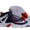LeBron Ambassador 8  Dream Team