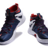 LeBron Ambassador 8  Dream Team