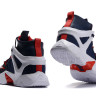 LeBron Ambassador 8  Dream Team