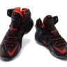LeBron James 12 black-red