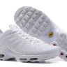 NIKE AIR MAX PLUS TN 2017 All in white 