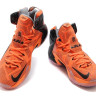 LeBron James 12 orange-black