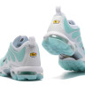 NIKE AIR MAX PLUS TN 2017 Mint