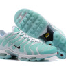 NIKE AIR MAX PLUS TN 2017 Mint