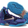 Nike LeBron 11 Summit Lake Hornets