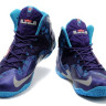 Nike LeBron 11 Summit Lake Hornets