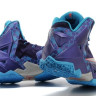 Nike LeBron 11 Summit Lake Hornets
