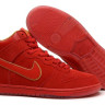 Nike Dunk SB High Red/gold