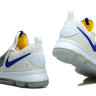 Nike Kevin Durant 9 White/Grey