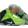 LeBron James 12 volt-black