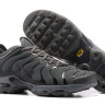 NIKE AIR MAX PLUS TN 2017 Grey