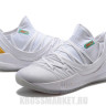 Under Armour Curry 5 Low white gold grey red