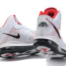 Nike Lebron 8 v.2 White