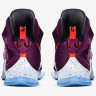LeBron 13 Written In The Stars