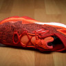 Adidas Crazylight Boost 2016 Low Original