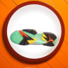 Air Jordan 7 Retro GC AJ7 CW2805-160