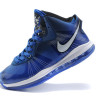 Nike Lebron 8 v.2 white/blue