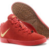 LeBron 12 NSW Lifestyle Challenge Red