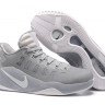 NIKE HYPERDUNK 2016 LOW grey/white