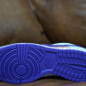 Nike Dunk Low SP Veneer DA1469-200