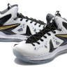 LeBron 10 X PS Elite White/Gold