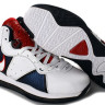 Lebron 8 VIII «USA-Veterans Day»