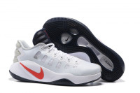 NIKE HYPERDUNK 2016 LOW USA