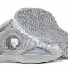 Air Jordan 2010 white