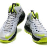 LeBron 10 X PS Elite gray/black/volt