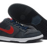 Nike Dunk Sb low grey/navvy/red