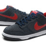 Nike Dunk Sb low grey/navvy/red