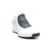 Air Jordan 19 Flint
