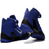 LEBRON 13 ELITE blue/white