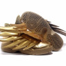 Adidas jeremy scott wings 3.0 gold